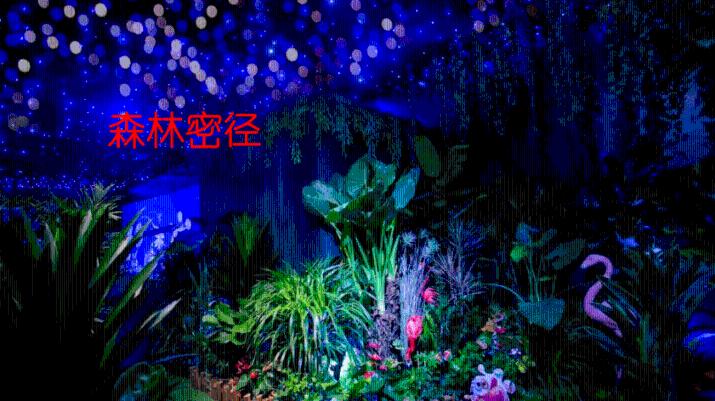 两会追热点｜为教师减负，完善创新人才培养体系，纵向评价减少教育焦虑……加快建设教育强市，代表委员们有话要说